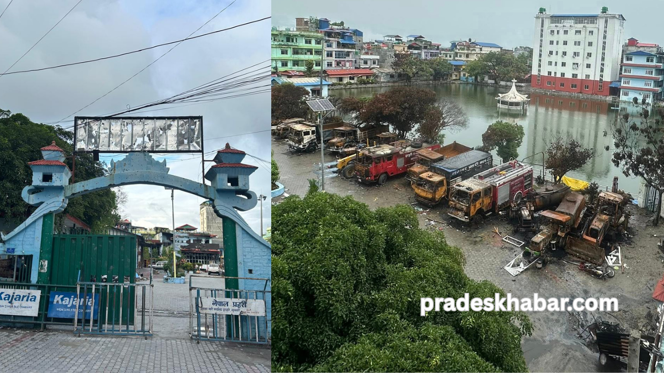 Your paragraph text (13)