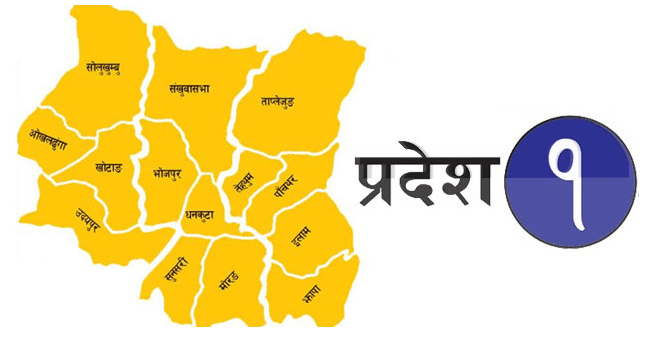 प्रदेश १:पुस २४ सम्म मुख्यमन्त्रीमा दावी पेश गर्न प्रदेश प्रमुख खापुङको आह्वान