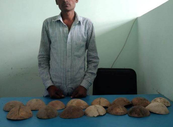 मानब अंग जस्तो देखिने बस्तु सहित नियन्त्रणमा