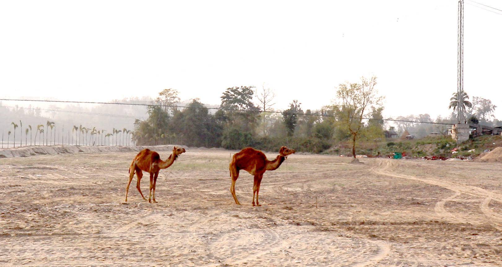 सरकारी जग्गामा ‘फनपार्क’: खाली गराउन प्रदेश मन्त्रालयको पहल