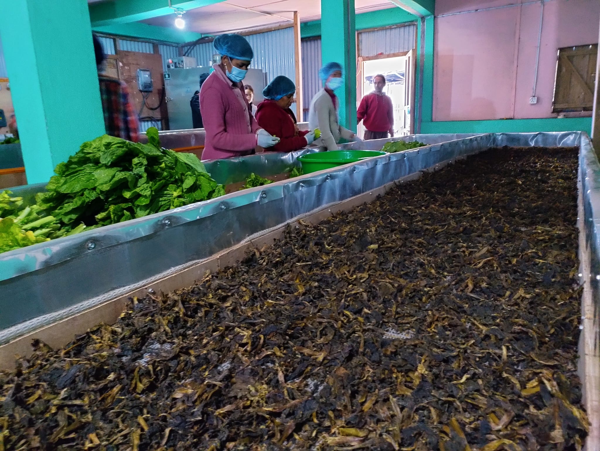 आहा...बन्दैछ गुन्द्रुक