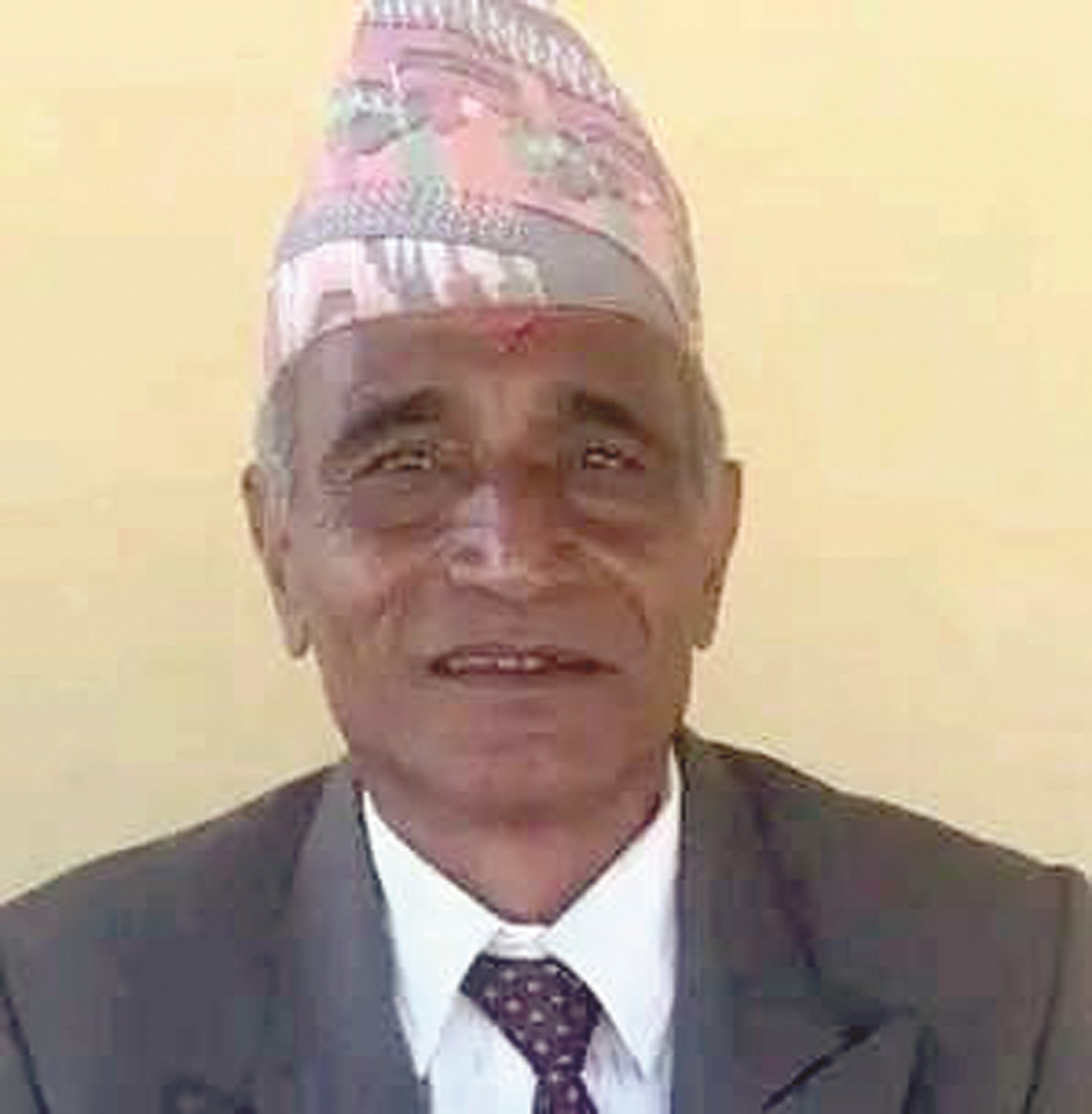 वडाध्यक्ष अमेरिका उडे, पाँच महिनादेखि सदस्यलाई जिम्मेवारी