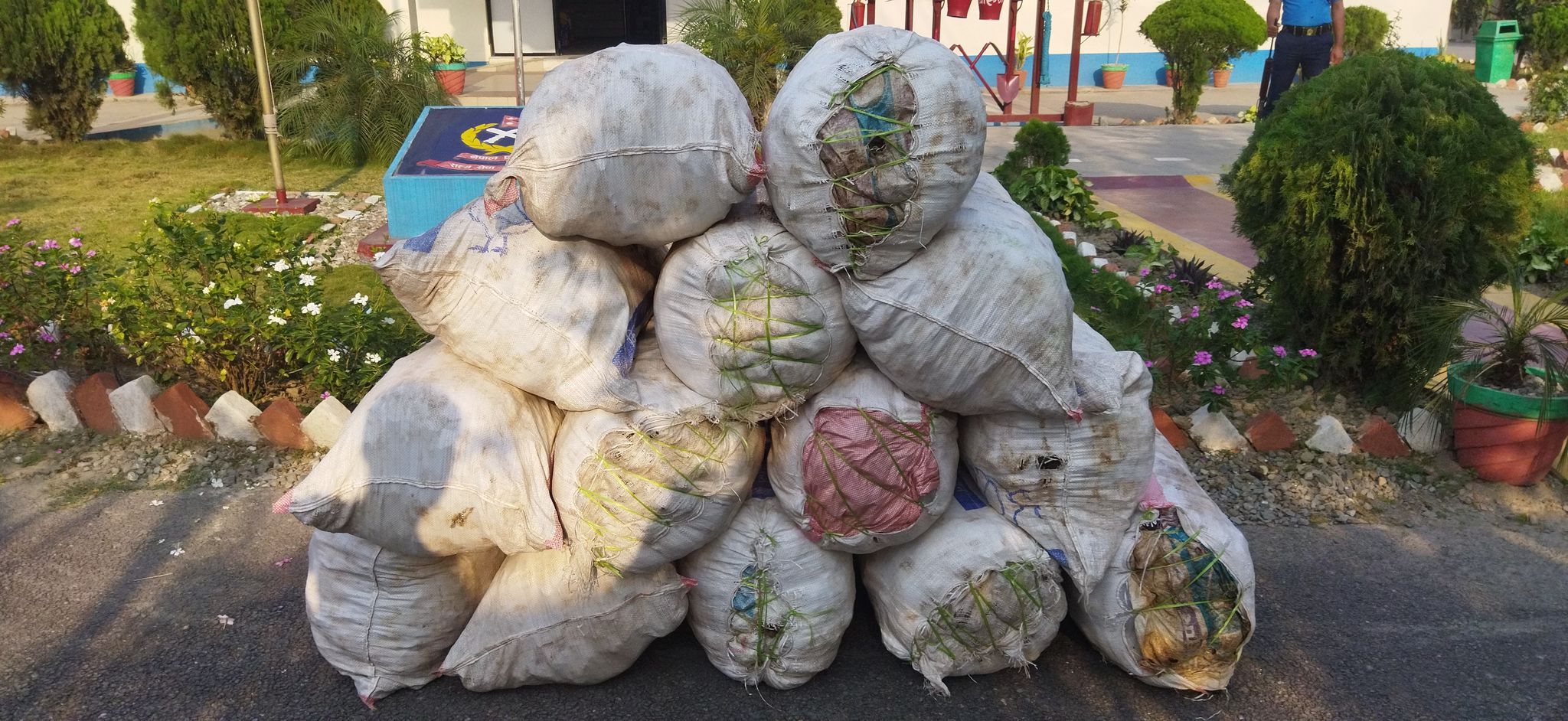 मोरङको जहदा र विराटनगरबाट ५ सय ४२ किलो गाँजा बरामद