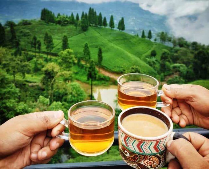 विदेशमा नेपाली चियाको माग बढी आपूर्ति अपर्याप्त