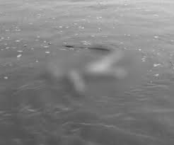 सप्तकोशी नदीमा नुहाउने क्रममा डुबेर एकको मृत्यु, दुई वेपत्ता