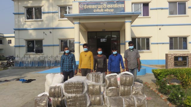 कोसी प्रदेशमा लागूऔषधको अवस्था भयावह : बढ्दै अपराध, सकिँदै सम्पत्ति