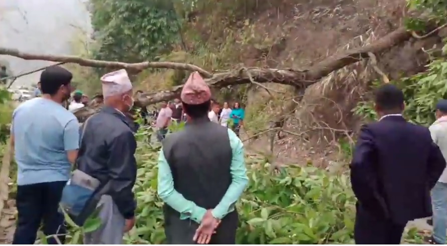 ओलीलाई लक्षित गरी इलाममा रुख ढालेर सडक अवरुद्ध, १३ जना पक्राउ