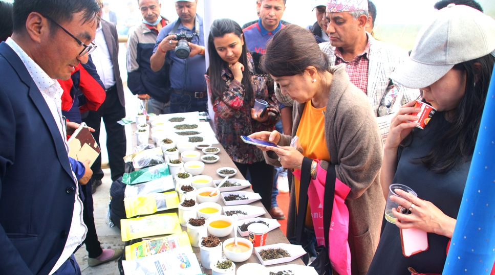 चिया प्रतिकेजी १० हजार रुपैयाँमा बिक्री