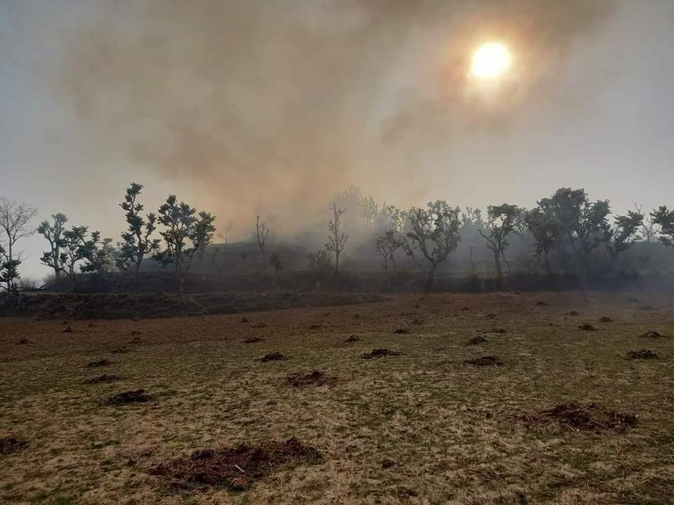 पाँचथरमा वनको आगो घरमा पुग्यो, शारीरिक अपांगता भएका युवकको जलेर मृत्यु