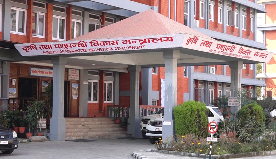 सामूहिक खेतीलाई बढावा दिने कृषि तथा पशुपन्छी विकास मन्त्रालयको नीति
