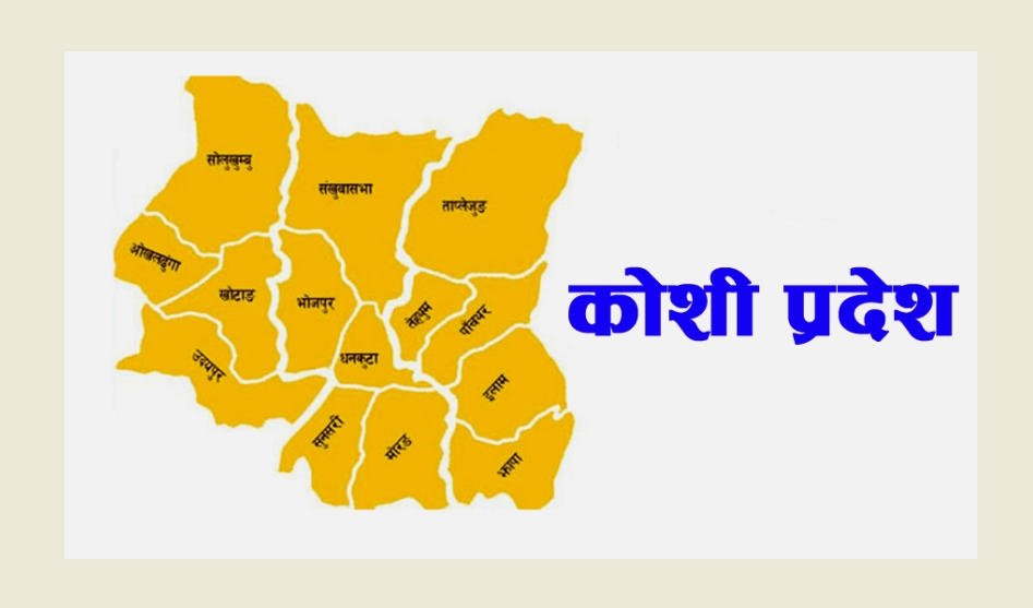 सात प्रदेशमध्ये सबैभन्दा धेरै अपराध कोशी प्रदेशमा