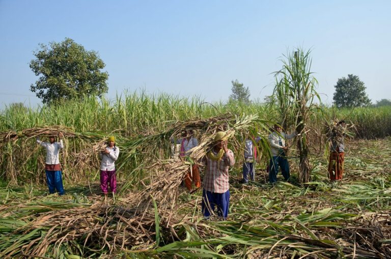 समान काम, फरक ज्याला