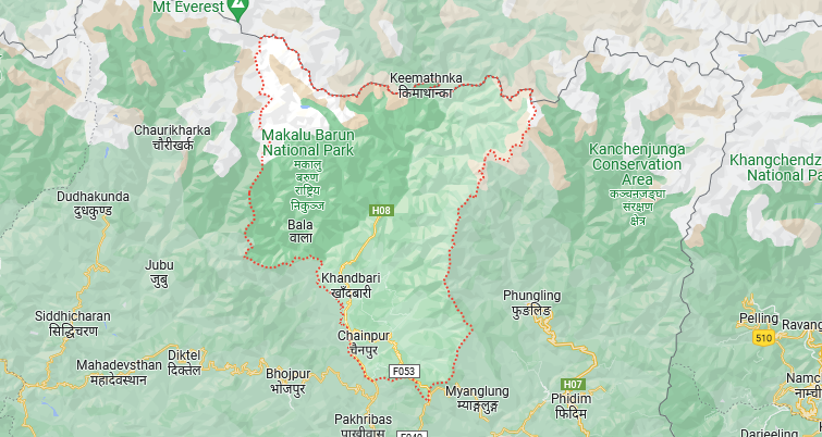 चैनपुरमा एकै घरका चार बालबालिका अचेत अवस्थामा फेला परे