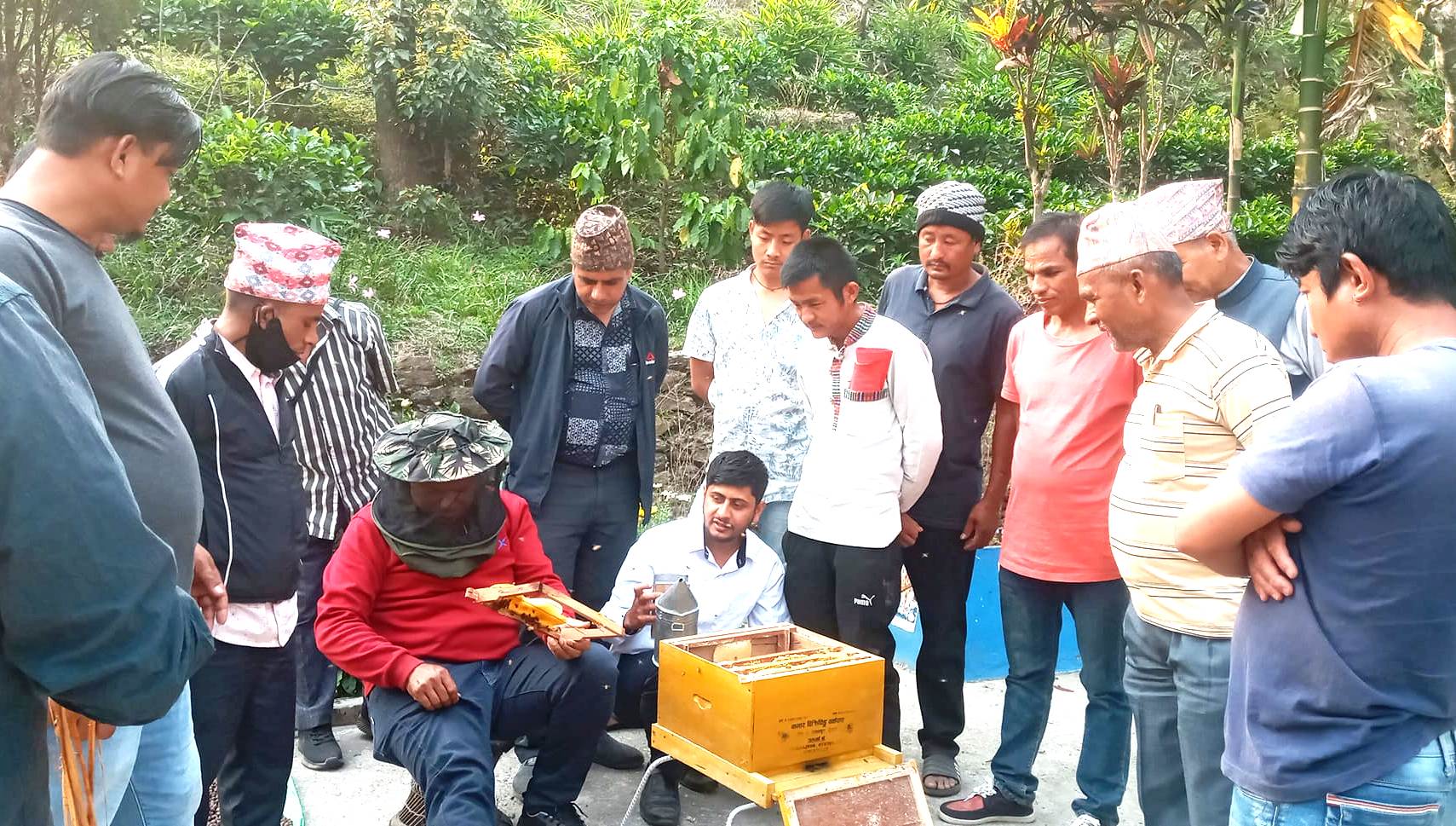 किसानलाई गाउँपालिकाको भरथेग, महमा व्यावसायिक बन्दै रोङ
