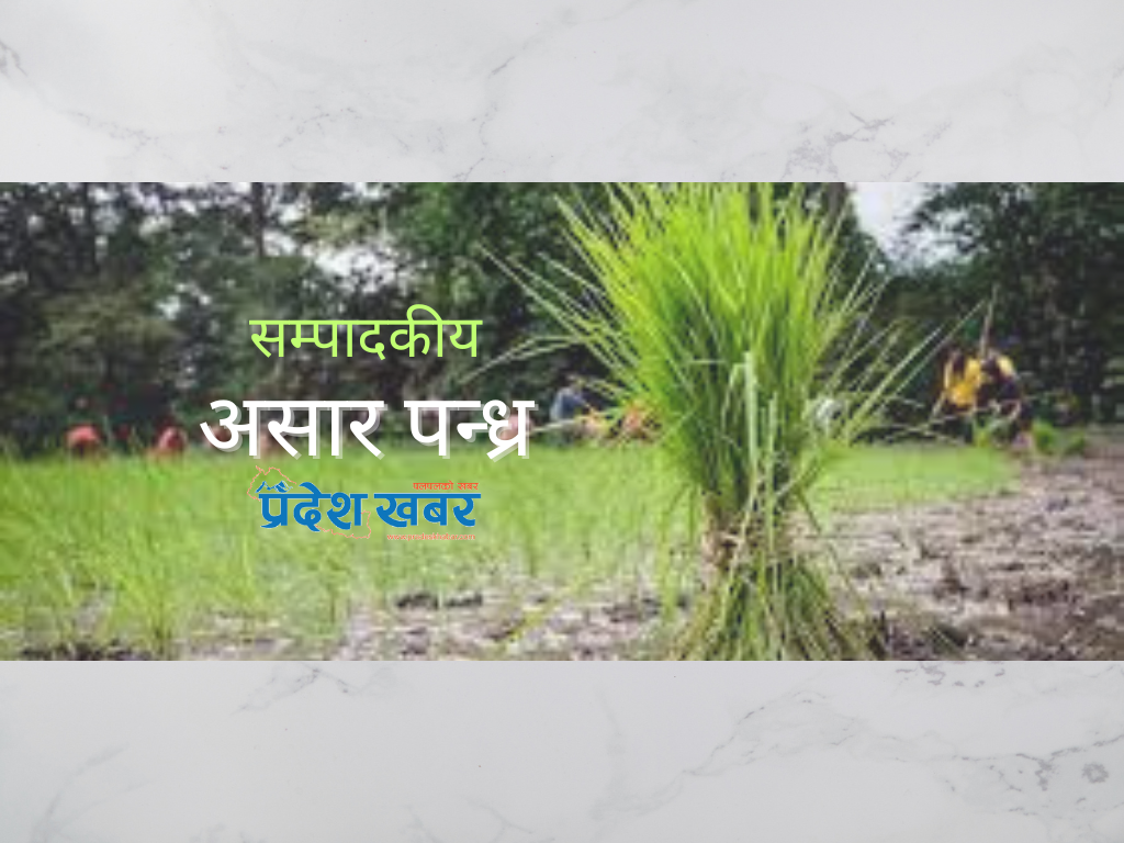 कृषिमा ध्यान देऊ