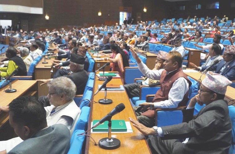 आर्थिक वर्ष २०८०/८१ को बजेट प्रतिनिधिसभाबाट पारित