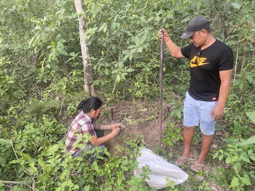 कोशी राजमार्ग आसपास शिरीषका बिरुवा रोपियो