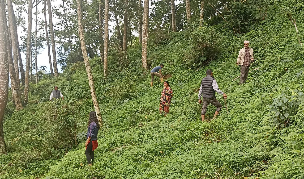 खानेपानीको मुहान संरक्षण गर्न जलाधार क्षेत्रमा वृक्षरोपण अभियान