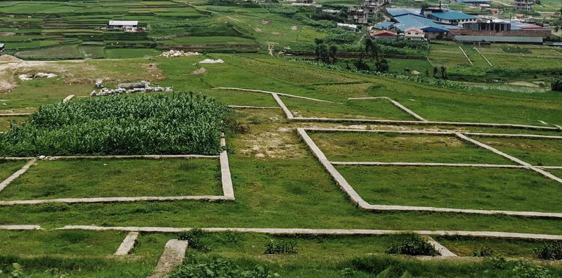 जग्गाको कित्ताकाट खुल्यो