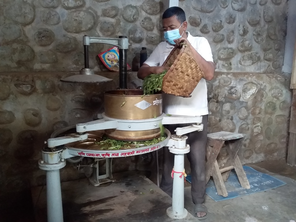 चिया पनि ‘चक्लेटी’ स्वादमा