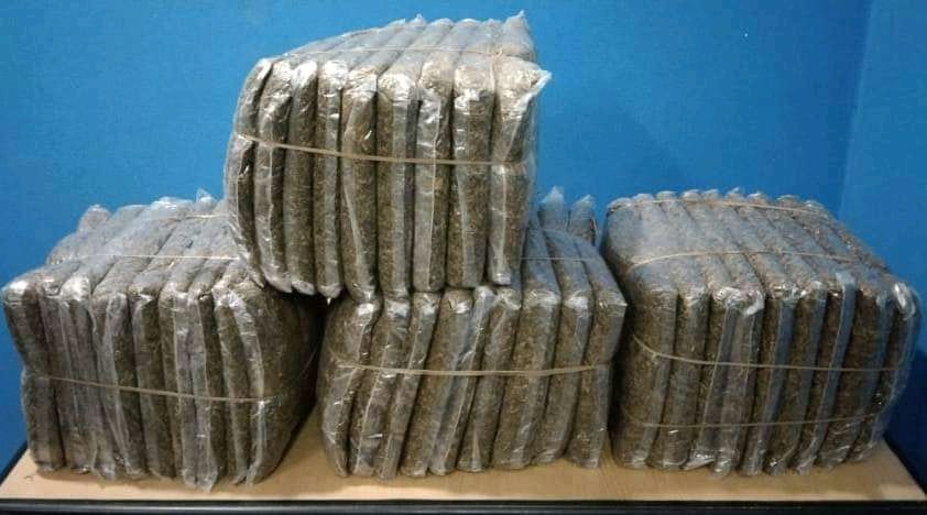 भारत लैजाँदै गरेको गाँजासहित विराटनगरबाट दुई जना पक्राउ