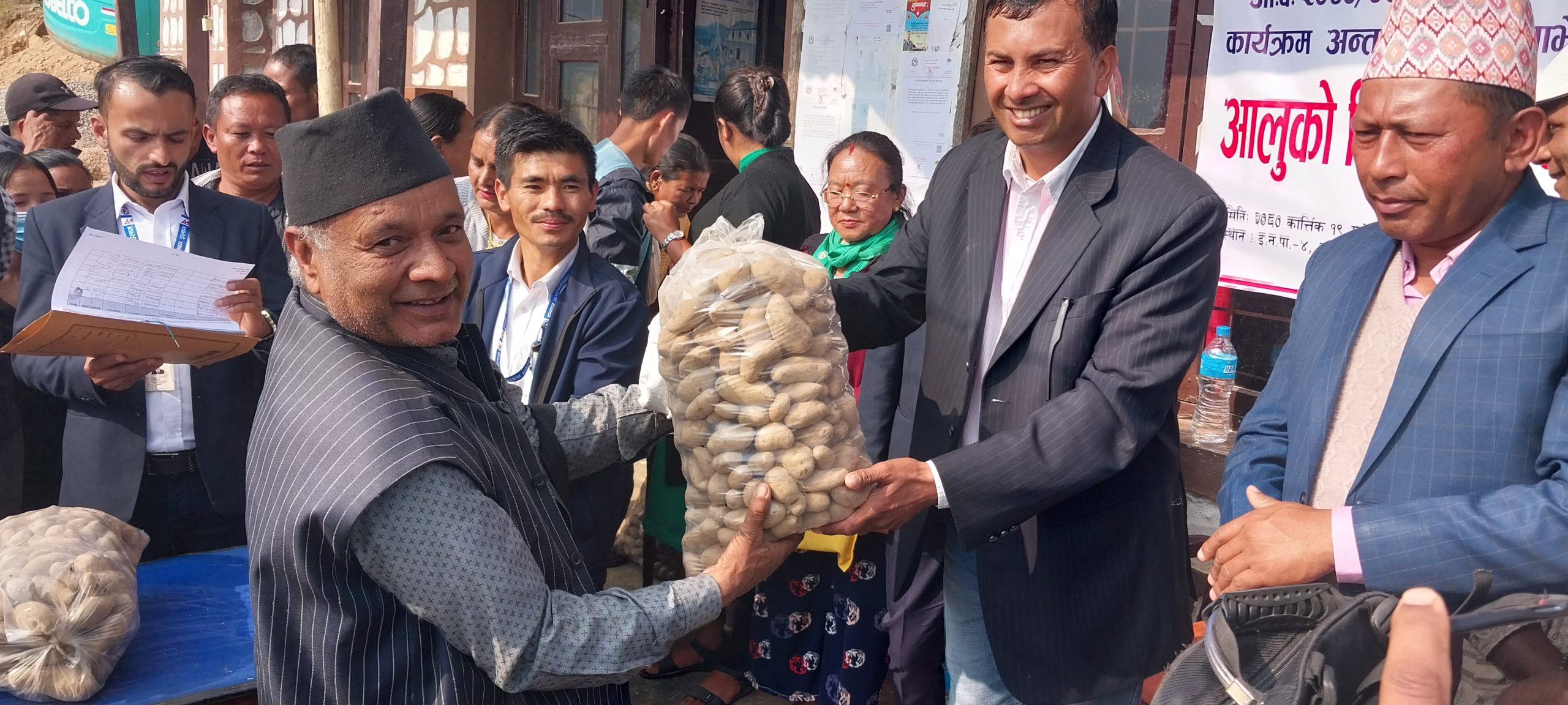 इलाम नगरपालिका ४ द्धारा किसानलाई आलुको बीउ बितरण