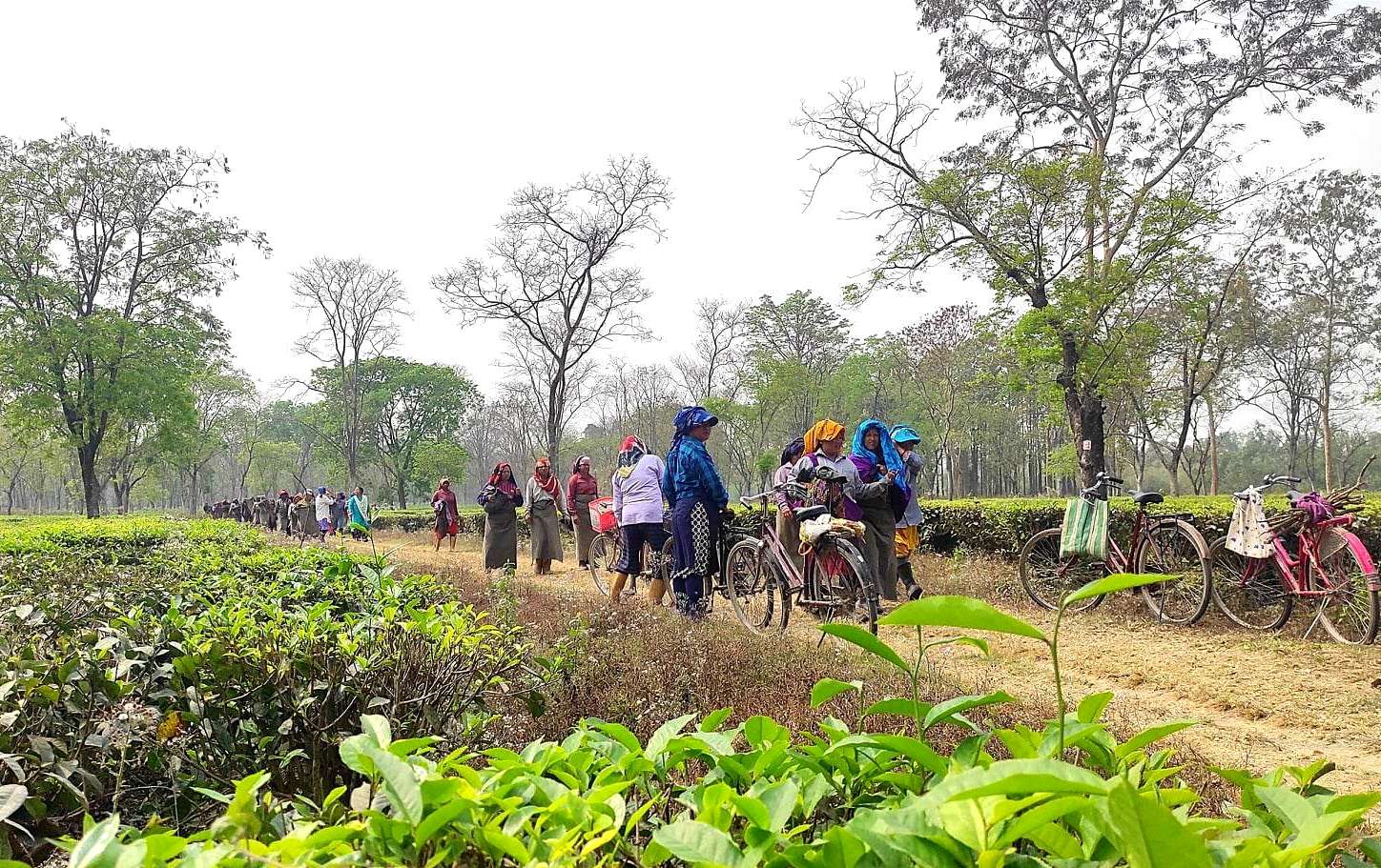 श्रमिकका लागि कार्यस्थलको सुरक्षामा जोड