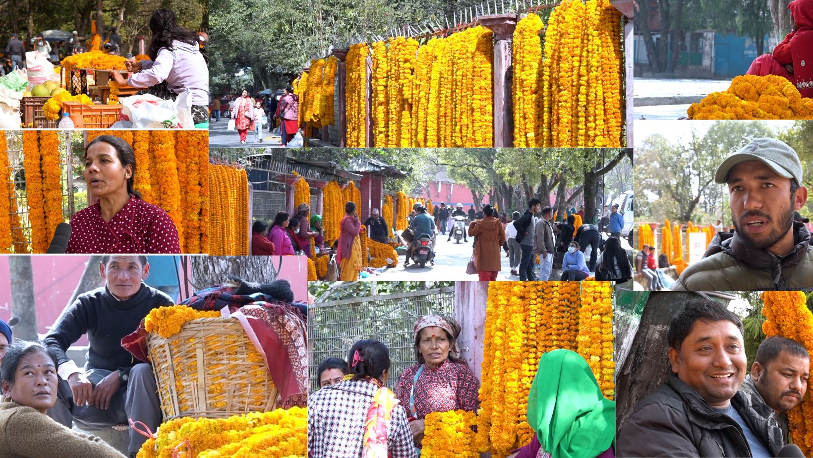 फूल व्यापारी भन्छन्, ‘नयाँ ठाउँमा फूल खोज्दै कोही आएन, बिकेकै छैन’