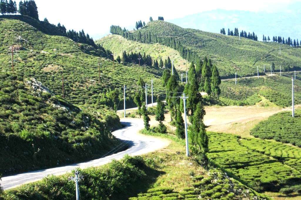 पहिचानवादी पक्षधरको बन्दको असर : कोसी प्रदेशका पूर्वी पहाडी जिल्लामा जनजीवन प्रभावित