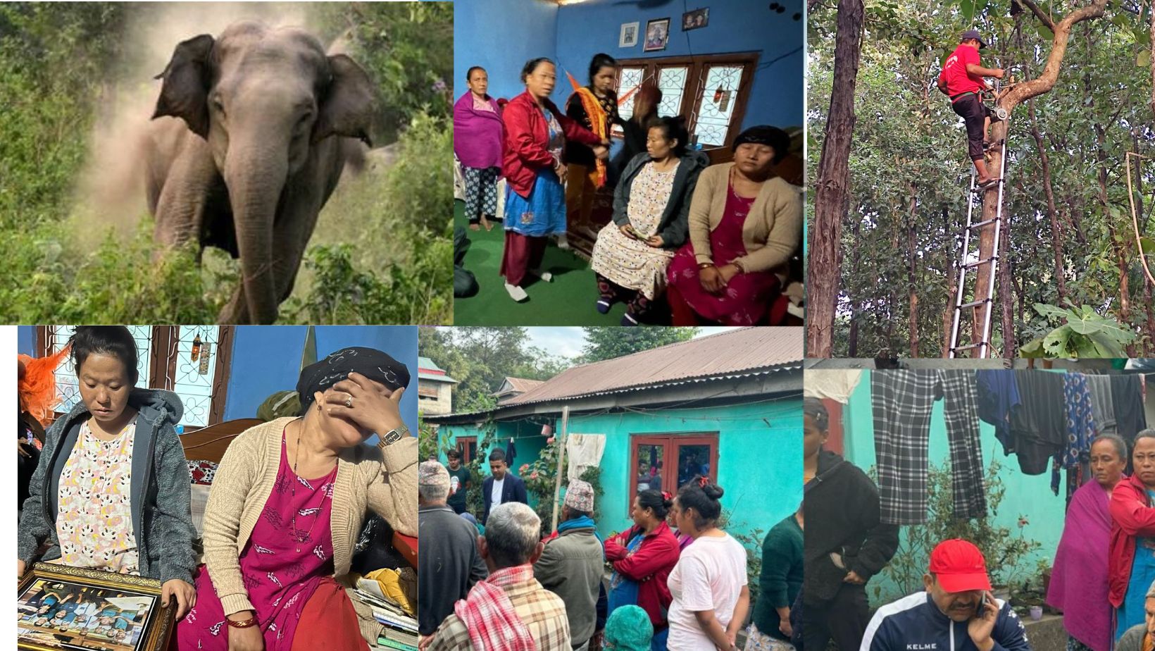  पूर्वी नेपालमा बढ्यो  हात्ती आतङ्क, दीर्घकालीन उपाय अवलम्बन गर्न सरोकारवाला  उदासीन 