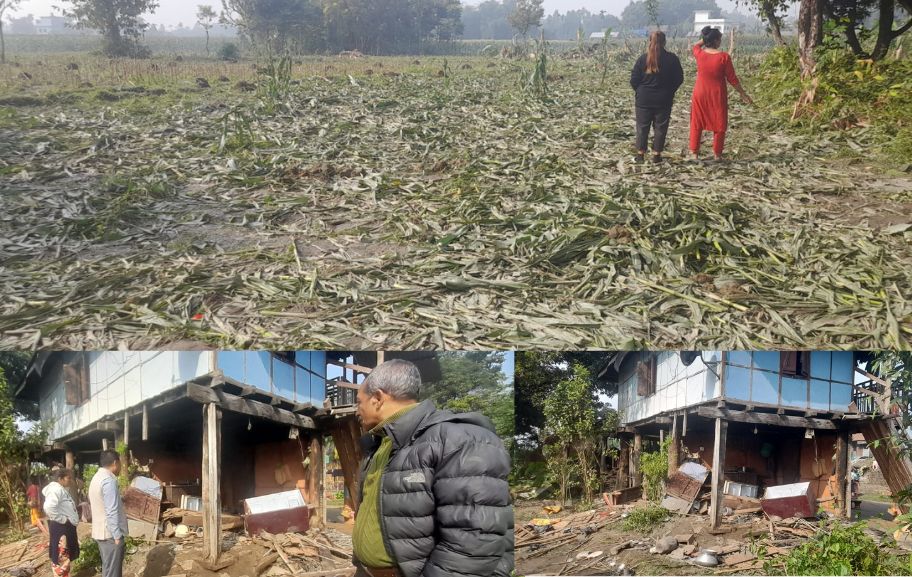 कोशीमा हात्तीको समस्या  : आक्रमणबाट ७ जनाको मृत्यु, ४८ लाख बढीको क्षति