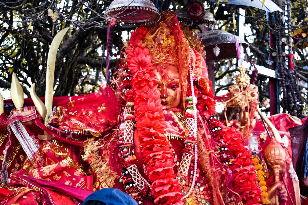 पाथीभरामा साढे आठ करोड भेटी सङ्कलन
