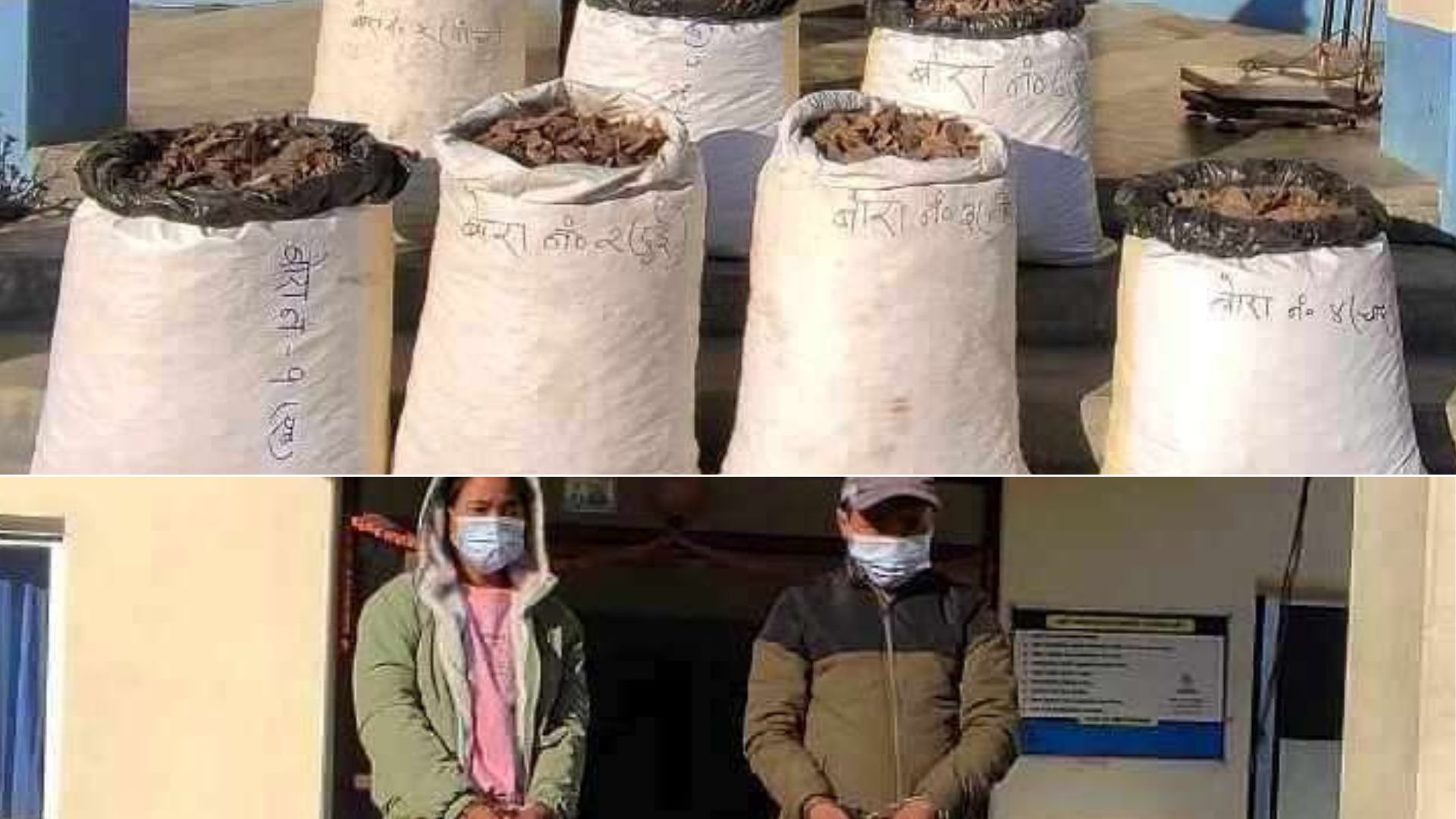 संखुवासभामा सालकको २०८ किलो खपेटासहित दुईजना पक्राउ