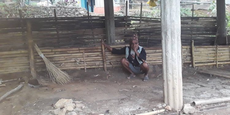 पशुमा लम्पी रोग लागेर थलिएका किसानलाई दिएन सरकारले राहत