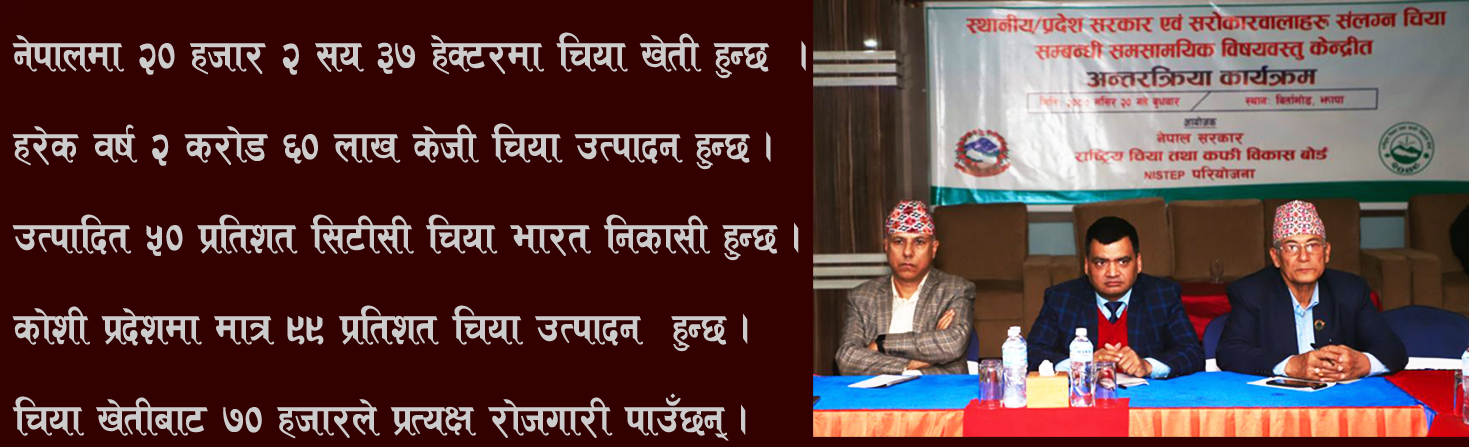 चिया क्षेत्रका समस्या समाधानमा सरकार उदासिन