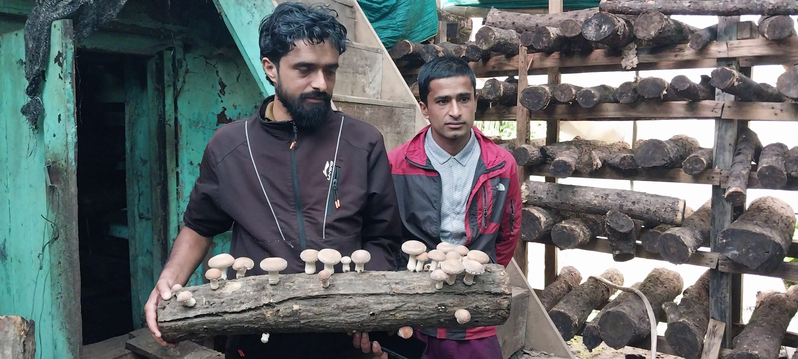 सीताके च्याउमा भविष्य खोज्दै काफ्ले दाजुभाइ