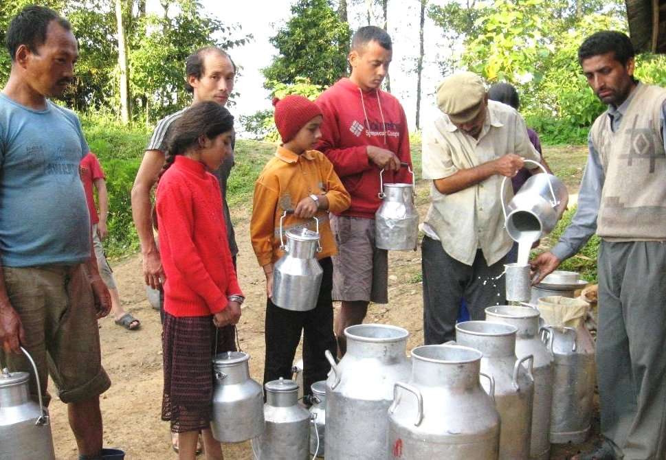 दुग्धजन्य पदार्थको बजारीकरणमा ध्यान दिन आग्रह