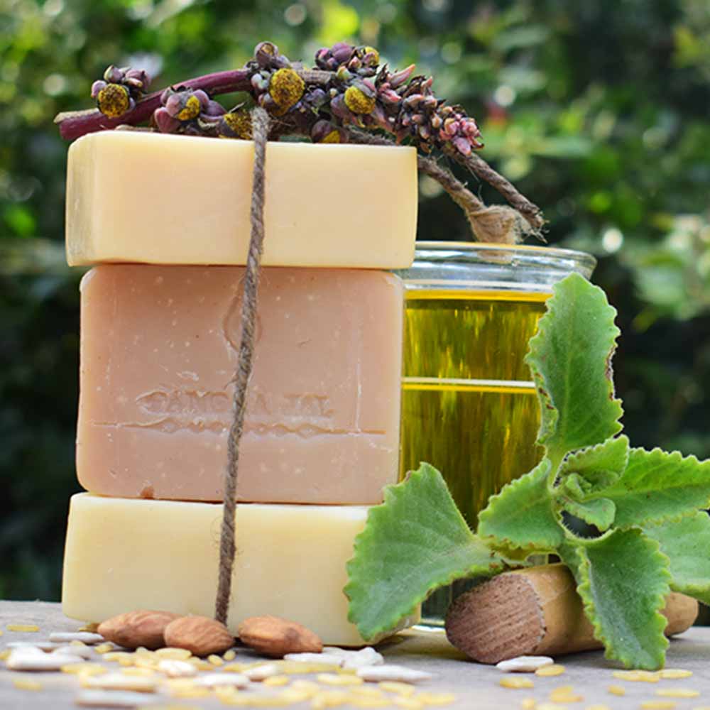 वनस्पतिबाट साबुन बनाउने उद्योग सञ्चालन गर्दै धरानकी मनिता घिमिरे