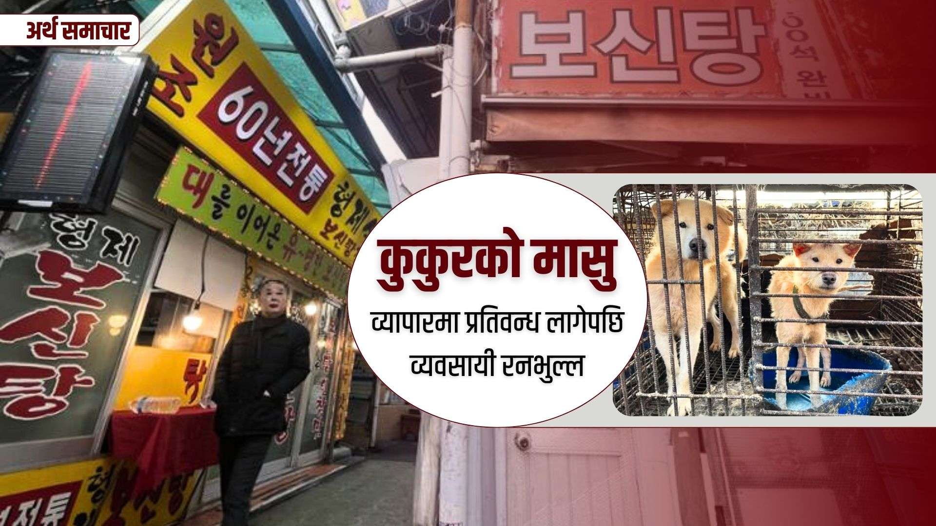कुकुरको मासु व्यापारमा प्रतिवन्ध लागेपछि व्यवसायी रनभुल्ल