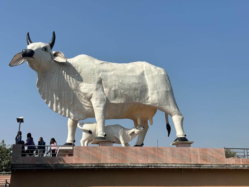 मोरङको वृन्दावन गौशालामा विश्वकै अग्लो गाई-चैत्र ११ मा उद्घाटन हुँदै