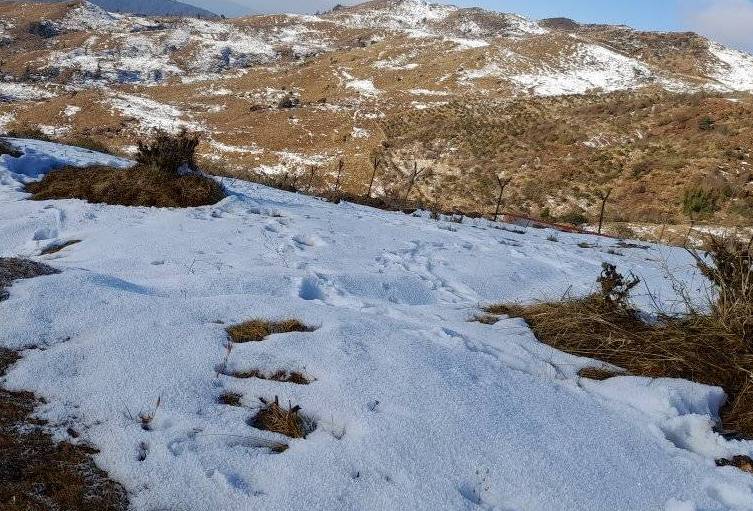 मौसम महाशाखाको विशेष बुलेटिन : देशका केही स्थानमा वर्षा र हिमपातको सम्भावना