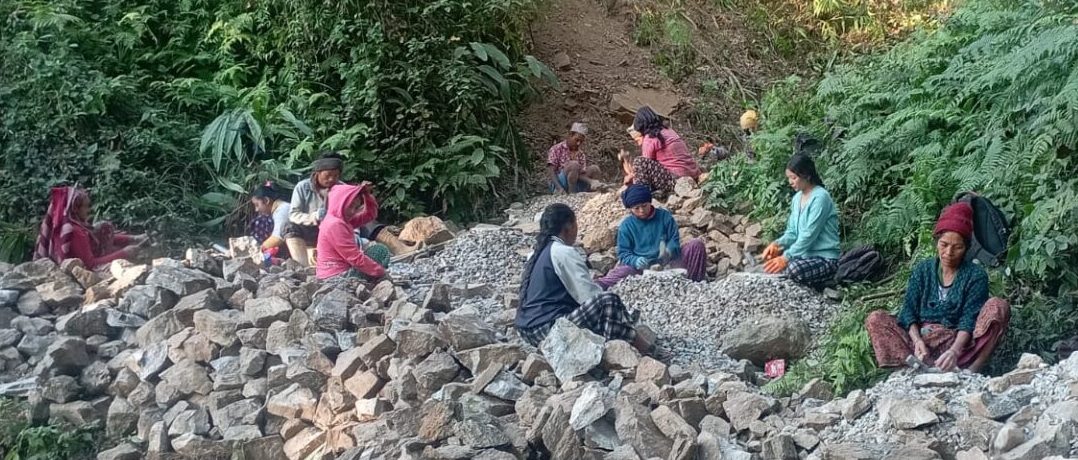 लिङसुवामा सिचाईं योजना सुरु
