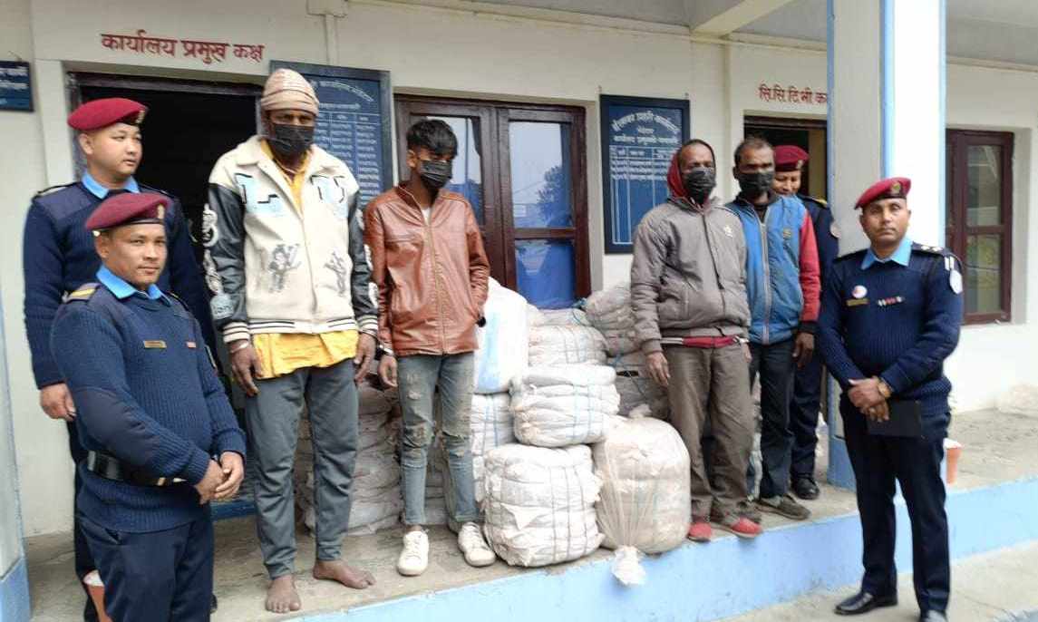 तेलकाे ट्यांकरमा ६०० केजी गाँजा तस्करी , भेडेटारबाट एक भारतीयसहित ४ जना पक्राउ