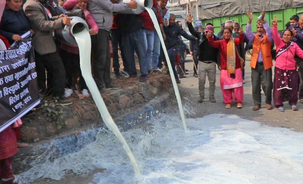 सात अर्ब भुक्तानी माग्दै दुध किसान आन्दोलनमा