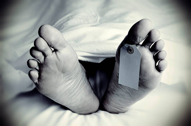 बाढी हेर्न खोलामा जाँदा......