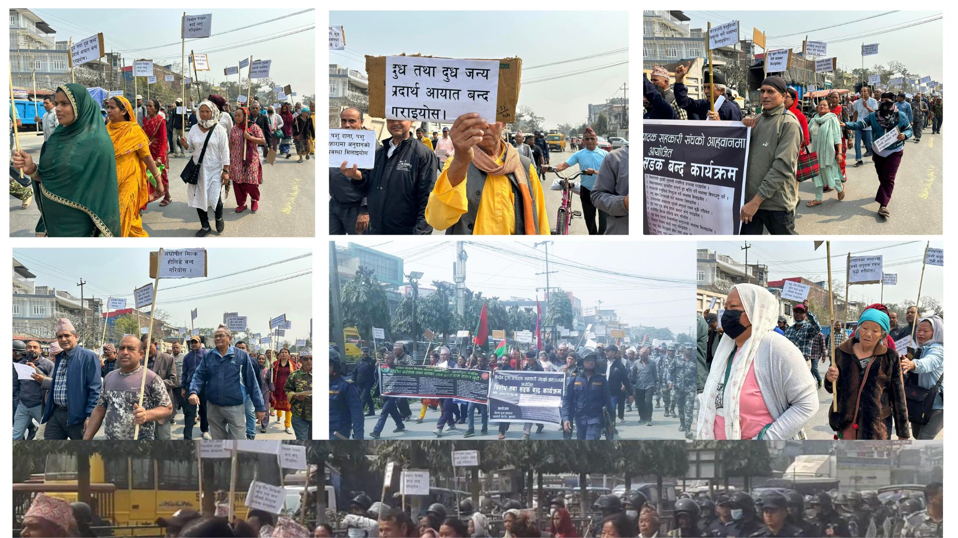 दूधको मूल्य पाउनुपर्ने माग गर्दै इटहरीमा  प्रदर्शन -  किसानले मागे कृषि मन्त्रीको राजीनामा