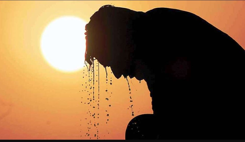 युरोपमा गर्मीले ५० हजारभन्दा बढीको मृत्यु
