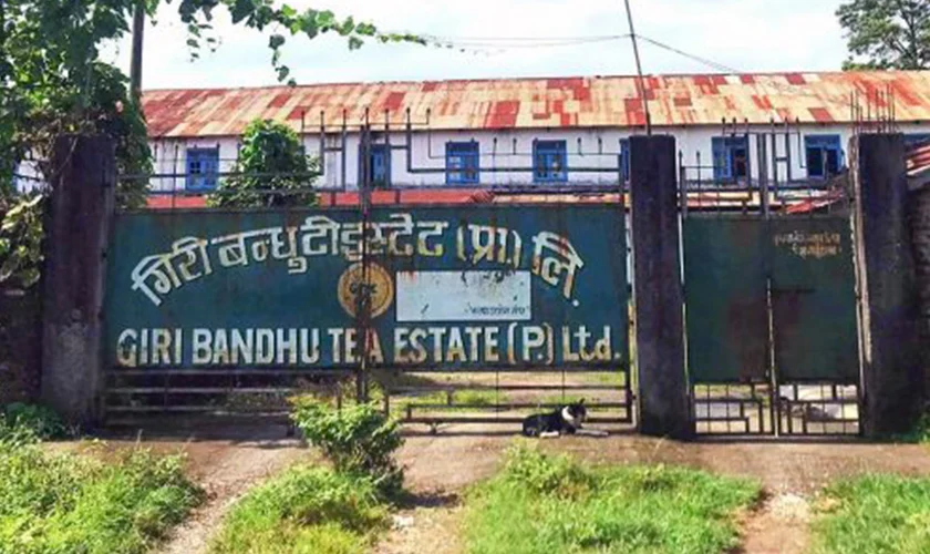 गिरीबन्धुको ३४३ बिघा जग्गा विवाद : सरकारबाट निर्णय गराउने ढुक्क भएर २०७३ मै भएको थियो तमसुक
