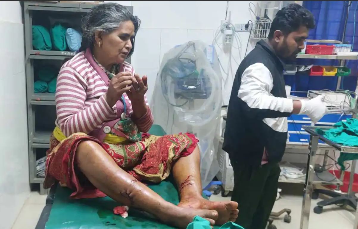 फिदिममा बौलाहा कुकुरको टोकाइबाट एकै दिन ९ जना घाइते 