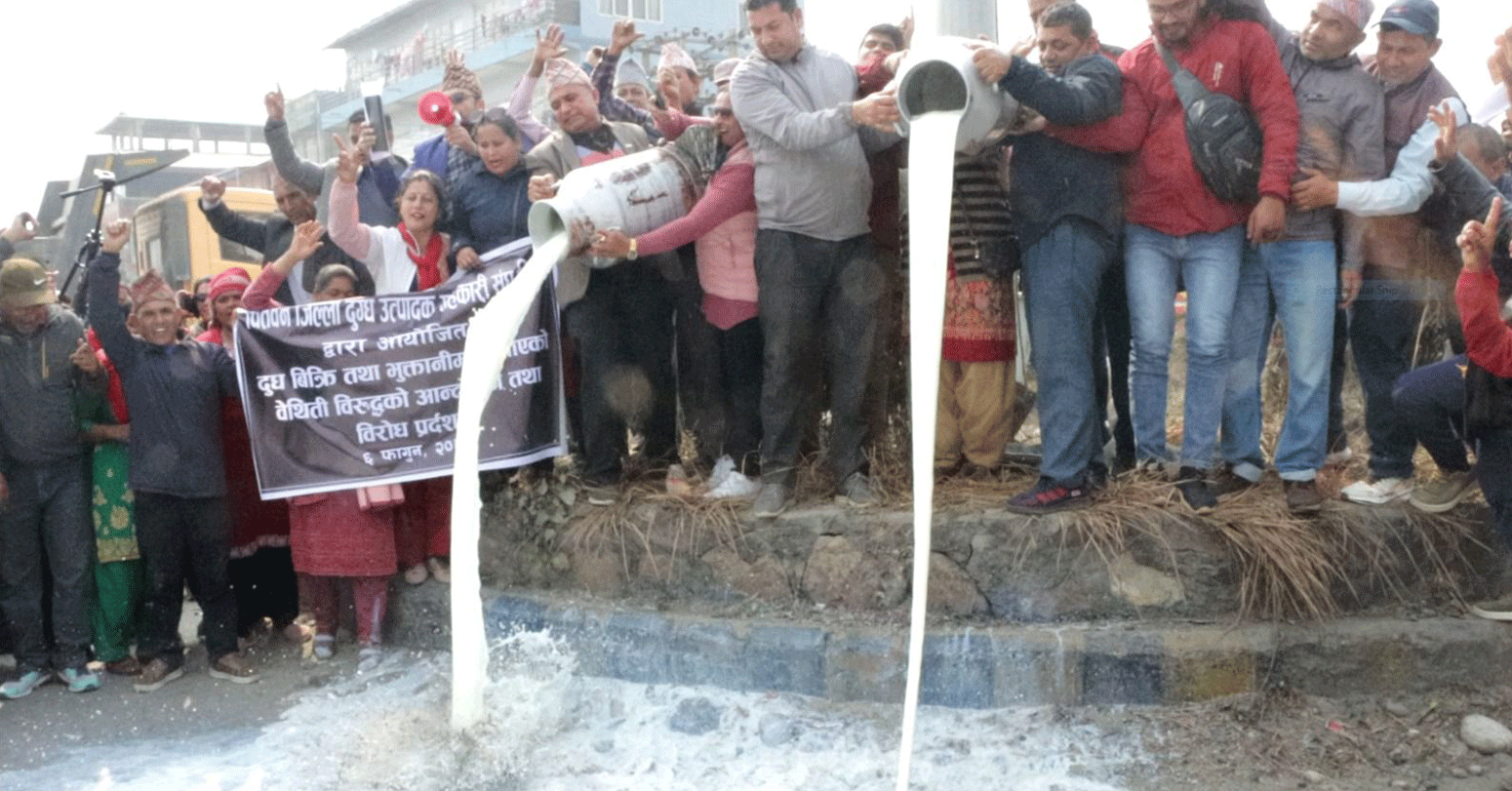किसानले पाएनन् दुध बिक्री गरेको ६ अर्ब
